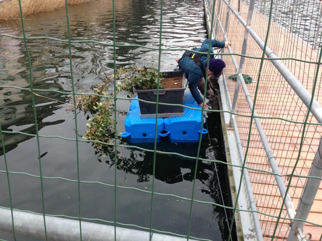 Portavasi galleggiante Piattaforma galleggiante pontili galleggianti